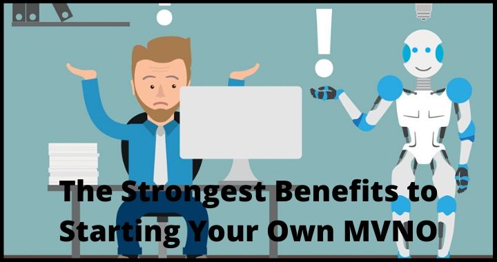 MVNO network, MVNO