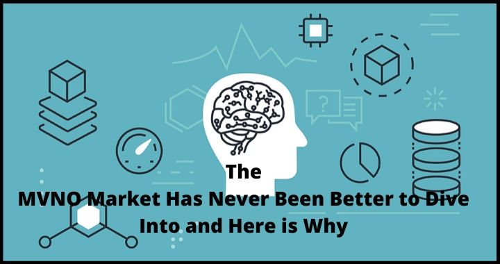 MVNO Market, MVNO subscriber