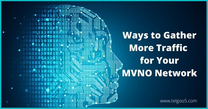 MVNO Service Providers, MVNO Provide