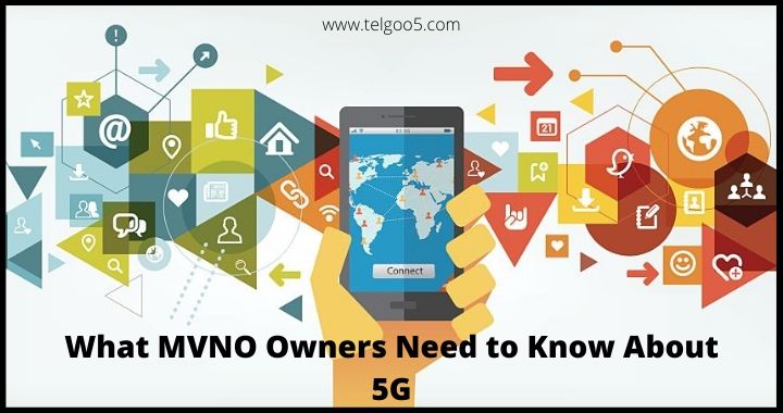 Wireless MVNO, MVNO Business